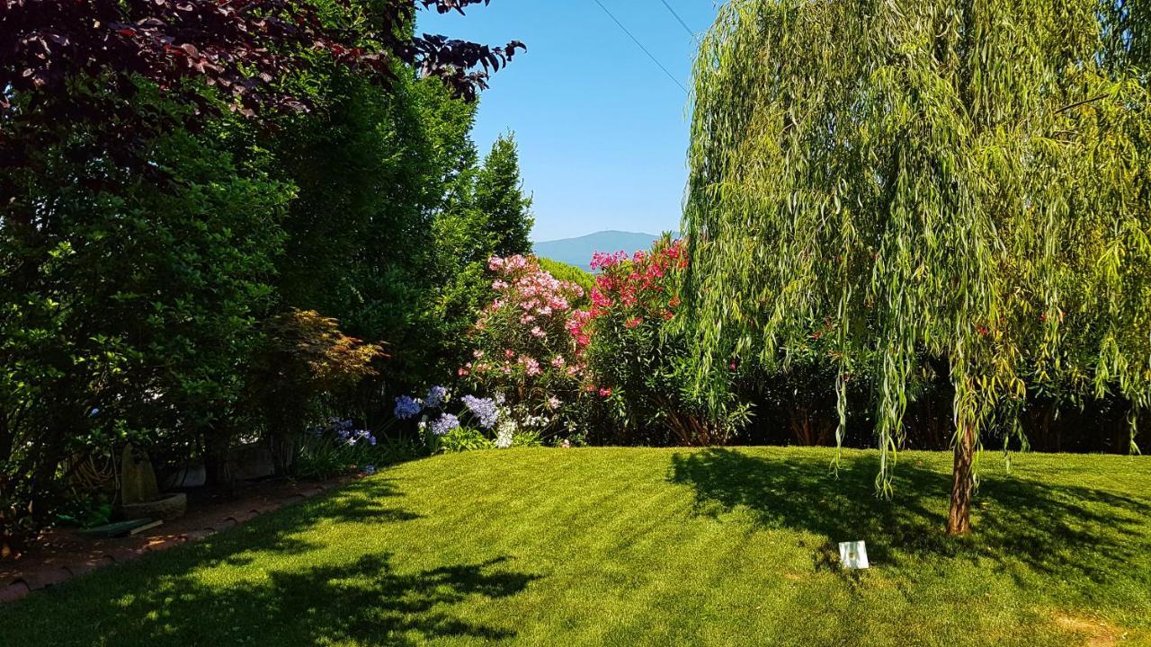 Asso Bed & Breakfast Manerba del Garda Dış mekan fotoğraf