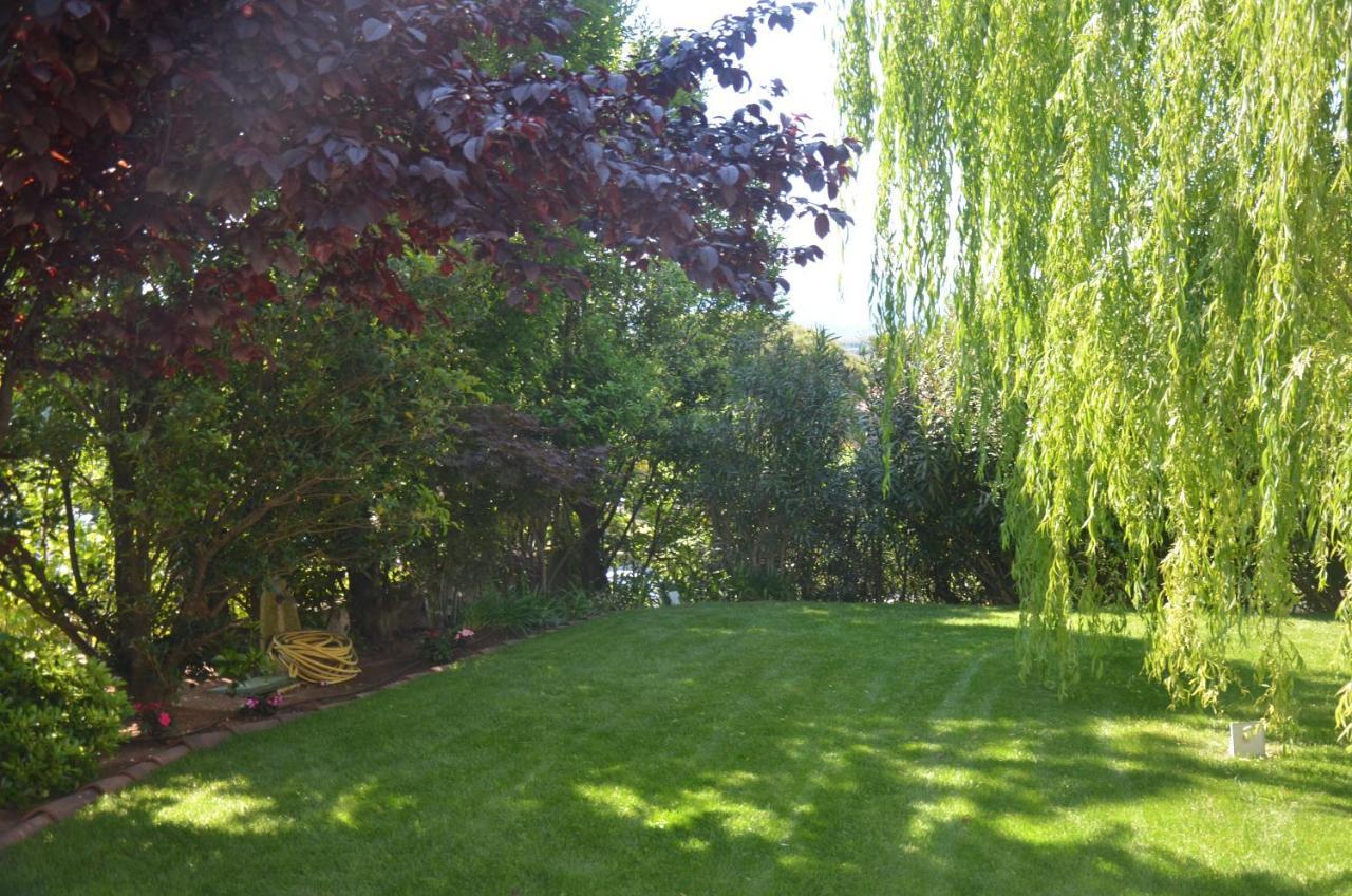 Asso Bed & Breakfast Manerba del Garda Dış mekan fotoğraf