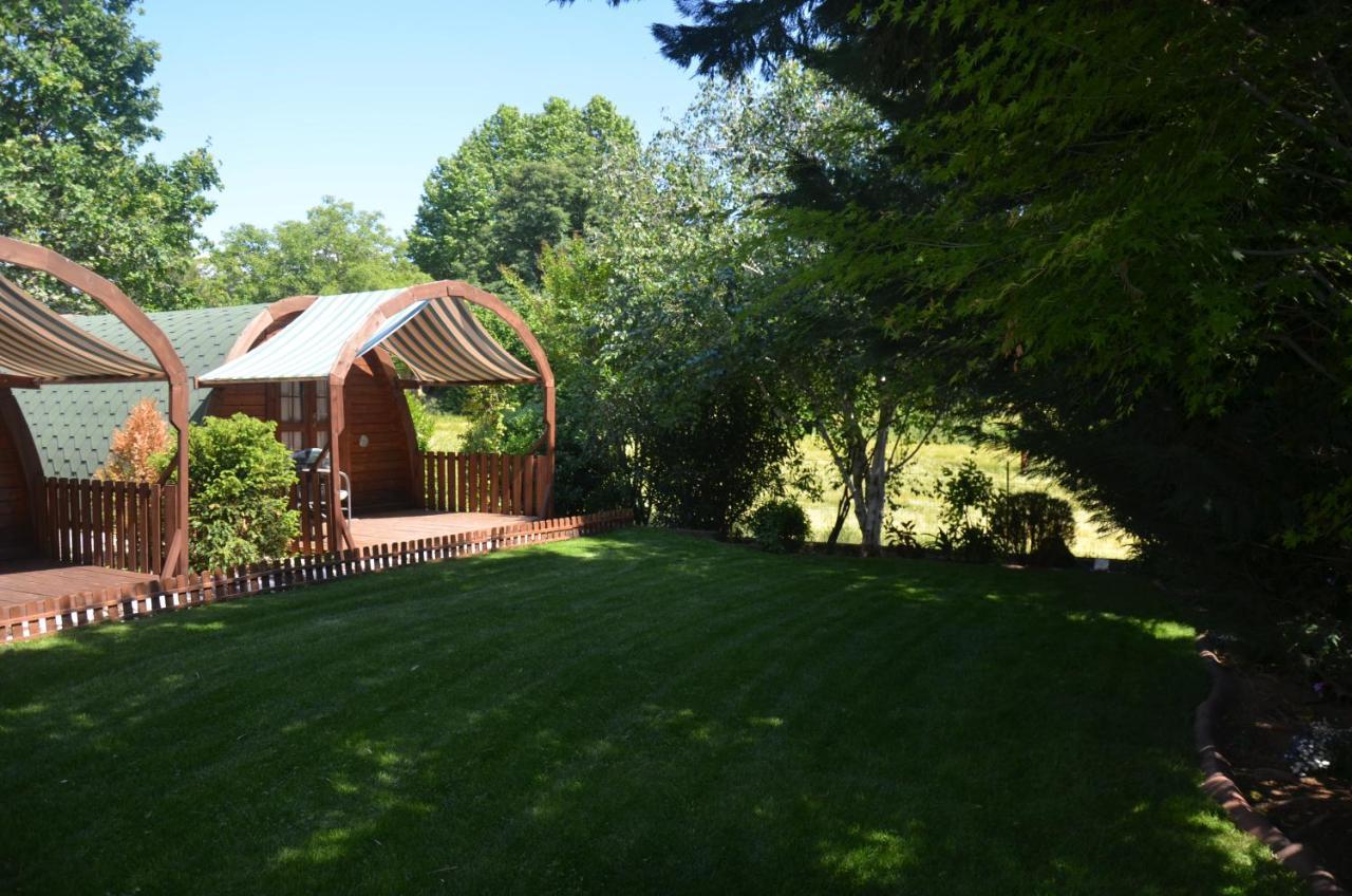 Asso Bed & Breakfast Manerba del Garda Dış mekan fotoğraf