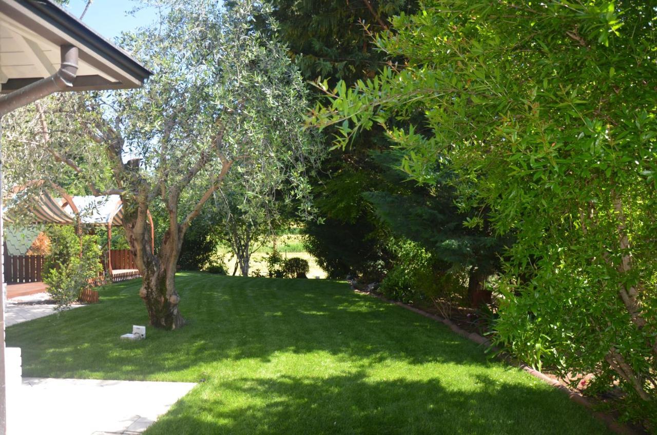 Asso Bed & Breakfast Manerba del Garda Dış mekan fotoğraf